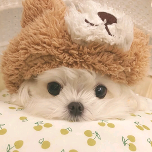 我叫吴江头像