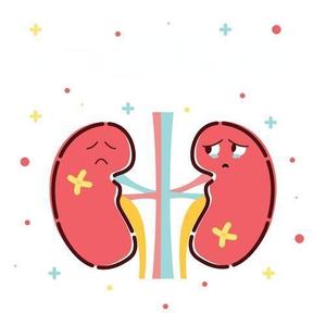 慢性ckd专区头像