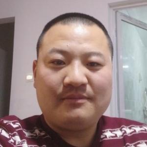 鹏掌柜头像