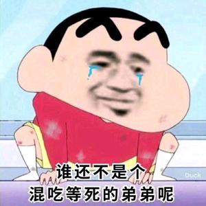 哆哆头像