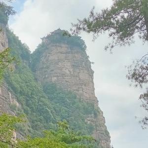 波波老师爱分享头像