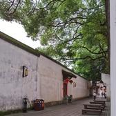 82年的盖白沙头像