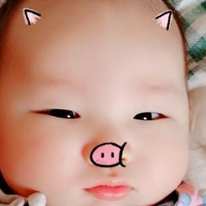 我家考拉头像