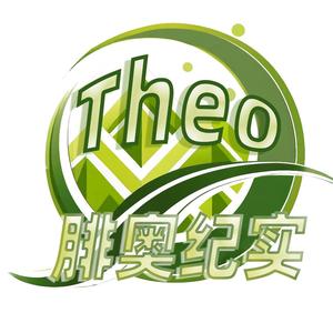 Theo腓奥纪实头像