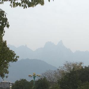 李小闪1头像