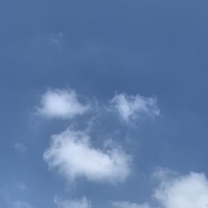 银桥会计培训学历提升头像