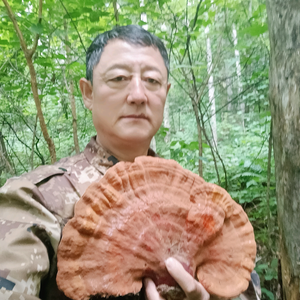 林区老陈的户外生活头像