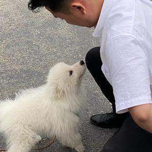 干锅鱼同学头像