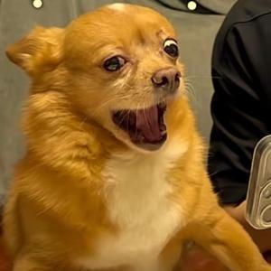山鬼头像