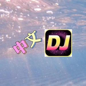 中文dj头像