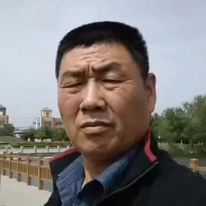 肥城海鸥头像