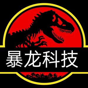 暴龙科技虚拟视频 头像