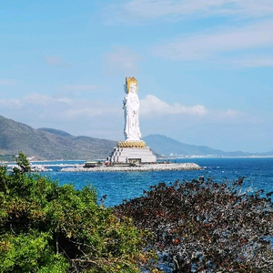 今日平头哥头像