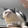 山山儿啊头像