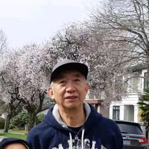 针阔混交赏景观头像