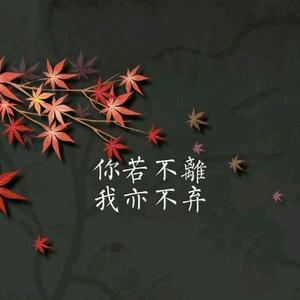 铝箔-尼龙头像