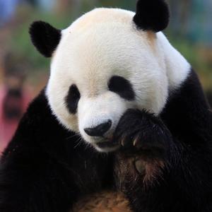 莓莓说事头像