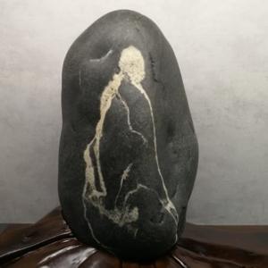 路上狂奔的鱼头像