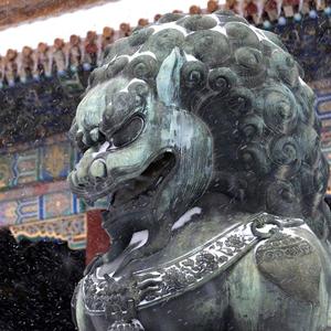 番茄1258319574992648头像