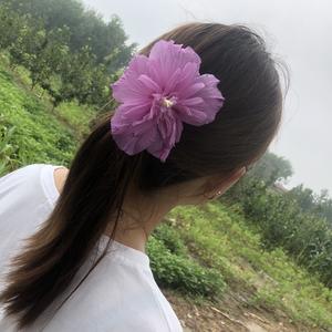 大瑞75头像