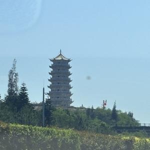 鱼翅真头像