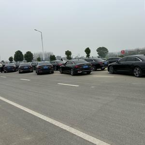新蔡婚庆车队头像