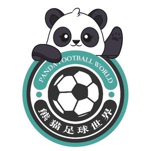 熊猫足球世界头像