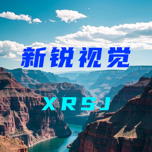 XRSJ新锐视觉头像