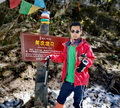 悦途户外徒步旅行-老鼠头像