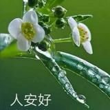唐诗苏词头像