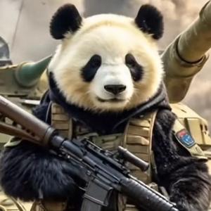 郑州佳尔泰头像