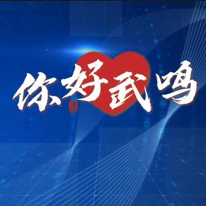 你好武鸣头像