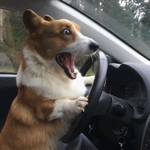 gyuugry头像