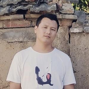 王家驹头像
