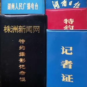 观察员林岩头像