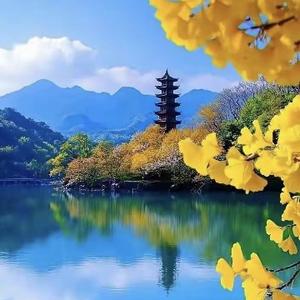 点石澄金头像