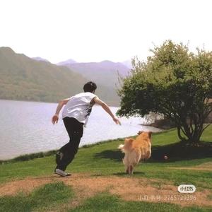 晚上的迪迪头像