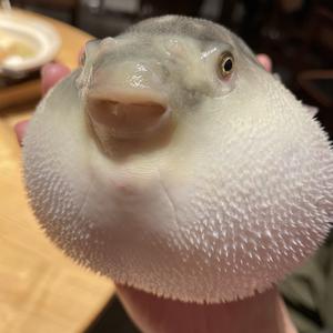 房顶观云头像