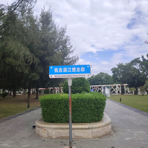 情感的港湾头像