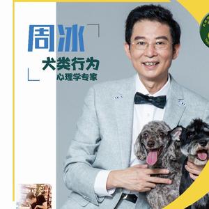周冰说宠头像