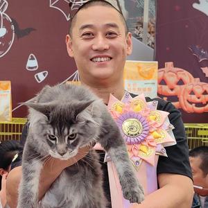 大猫二哈头像