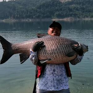 老肖的钓鱼生活头像