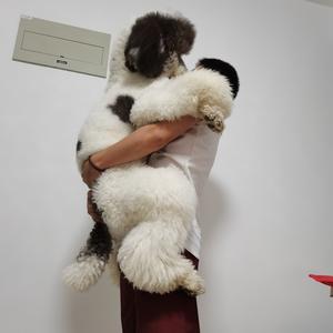 涵柏686头像