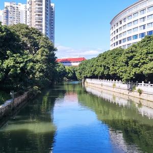 中医文化太美头像