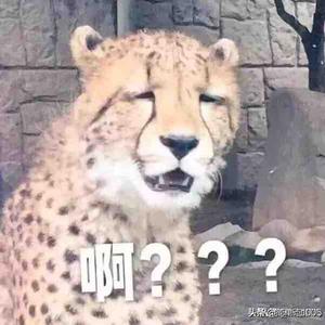 手机用户93762104471头像