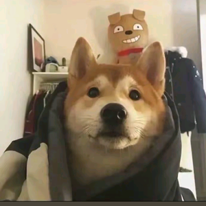 阿祖头像