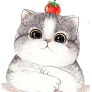 小雪花头像