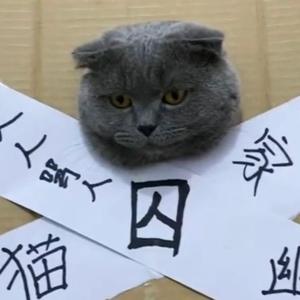 猛男女士头像