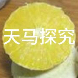 天马探究头像