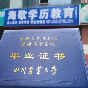 四川成人学历咨询师头像